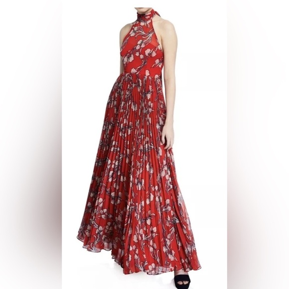 Fame and Partners Dresses & Skirts - Fame & Partners Red Floral Halter Maxi Dress Pleated Open Back Size 6